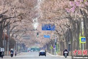 盱眙共建“花园城市” 北京这场议政会“百花齐放”