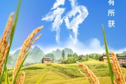 盱眙芒种节气小知识来了 夏种作物都有什么？