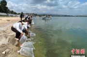 盱眙云南江川举行增殖放流活动 逾54万尾鱼游入星云湖